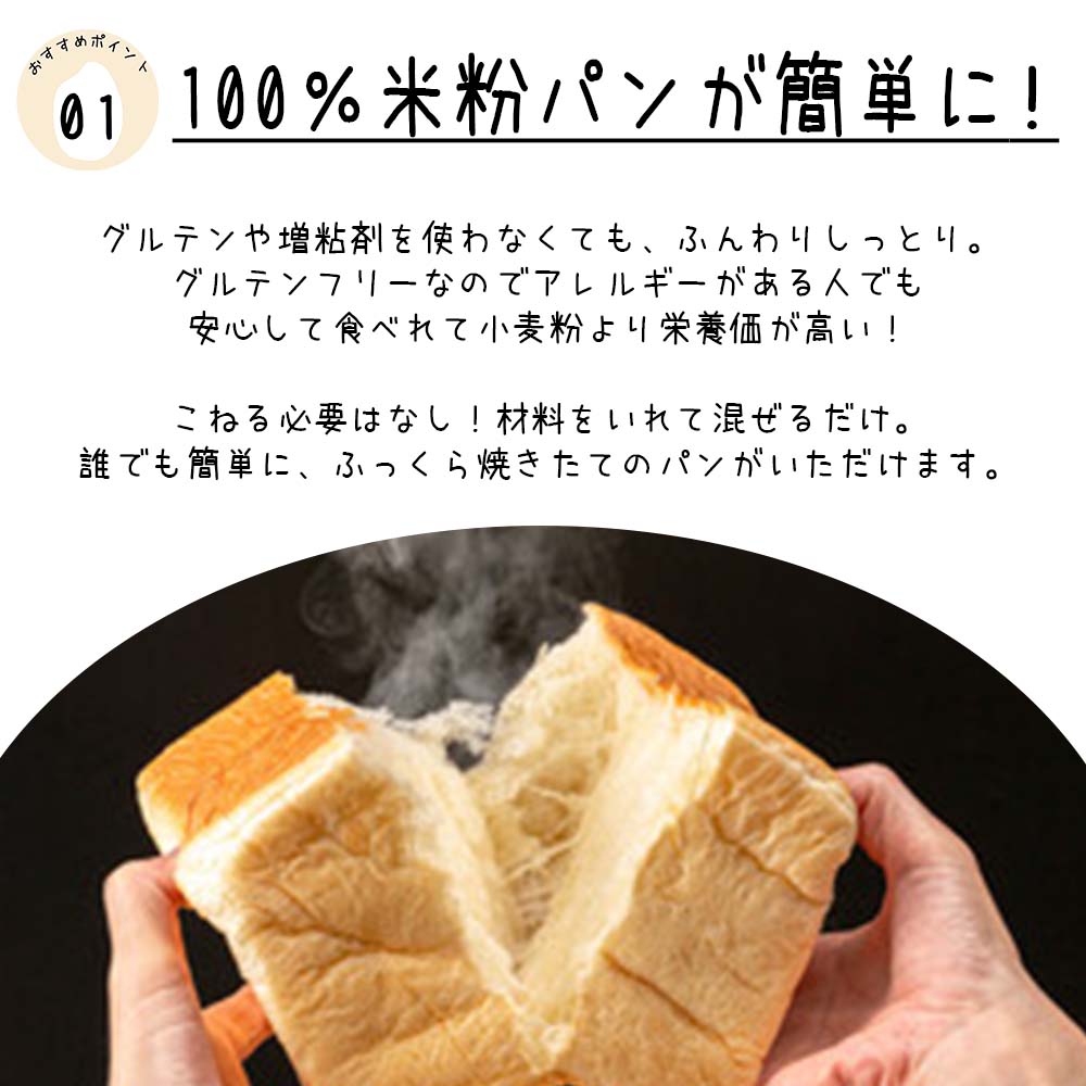 超微粉砕米粉 ミズホチカラ 20kg