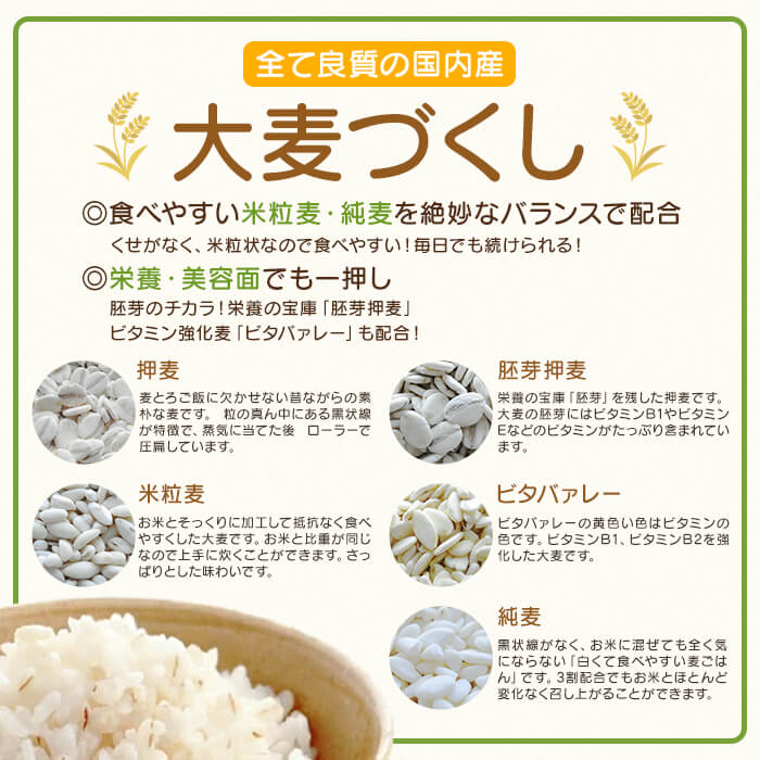 国産 大麦づくし 送料無料 420g×2(840g)