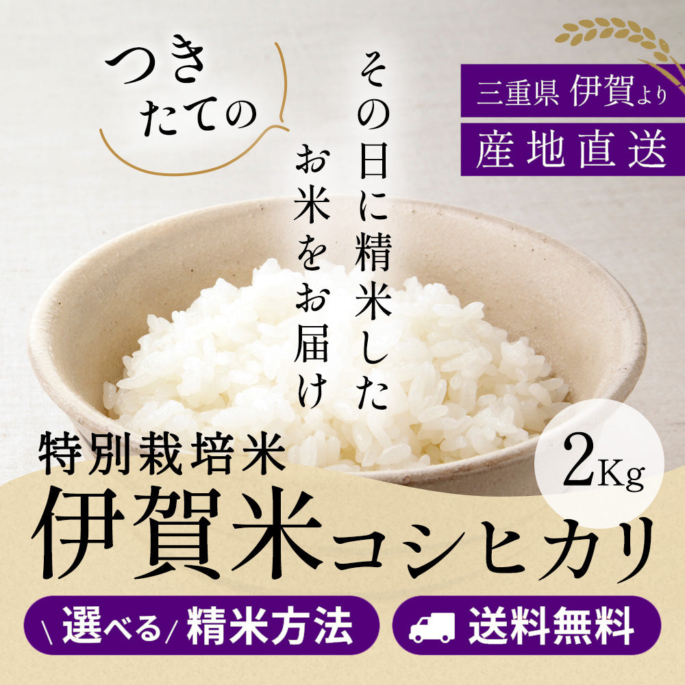 【新米】令和6年産【特別栽培米】伊賀米コシヒカリ 三重県伊賀産 玄米2kg 選べる精米方法 送料無料