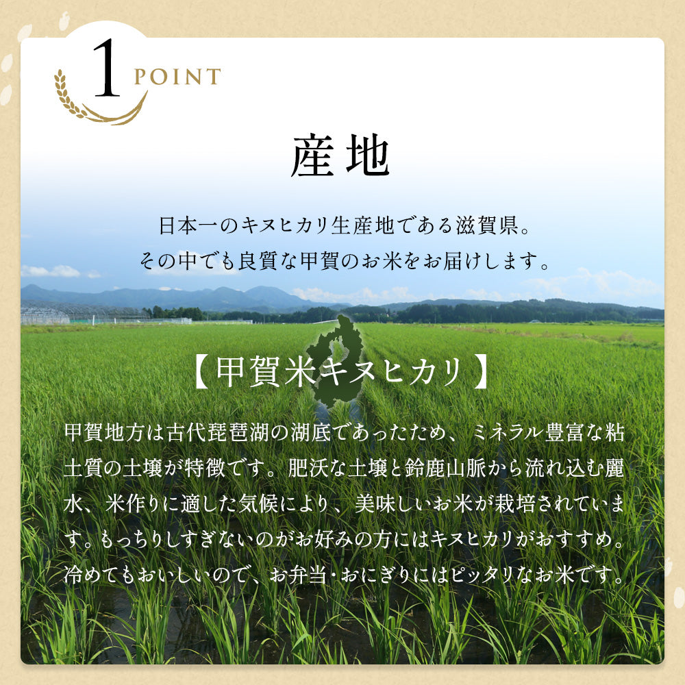 令和6年産 甲賀米キヌヒカリ 玄米5kg 選べる精米方法 送料無料