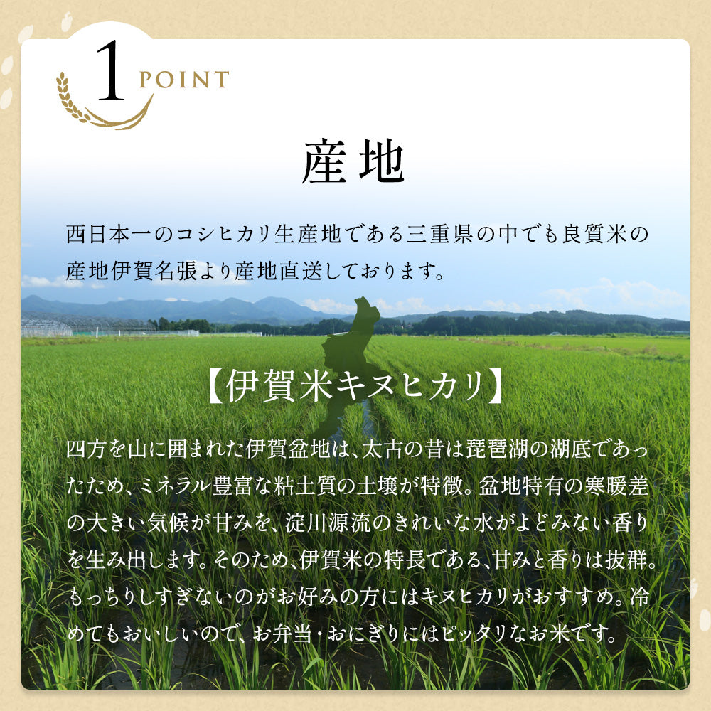 令和6年産 伊賀米キヌヒカリ 玄米20kg(10kgx2袋) 選べる精米方法 送料無料