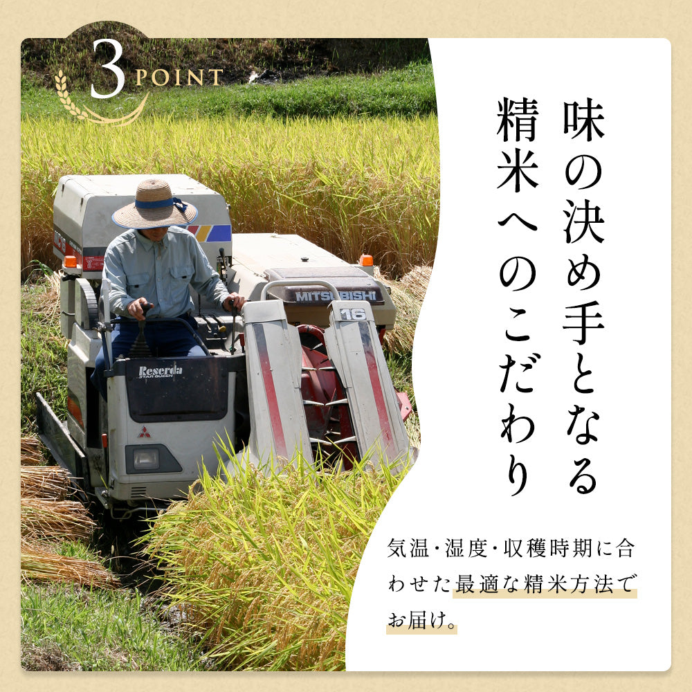 令和5年産 伊賀米コシヒカリ 玄米30kg(10kgｘ3袋) 選べる精米方法 送料無料