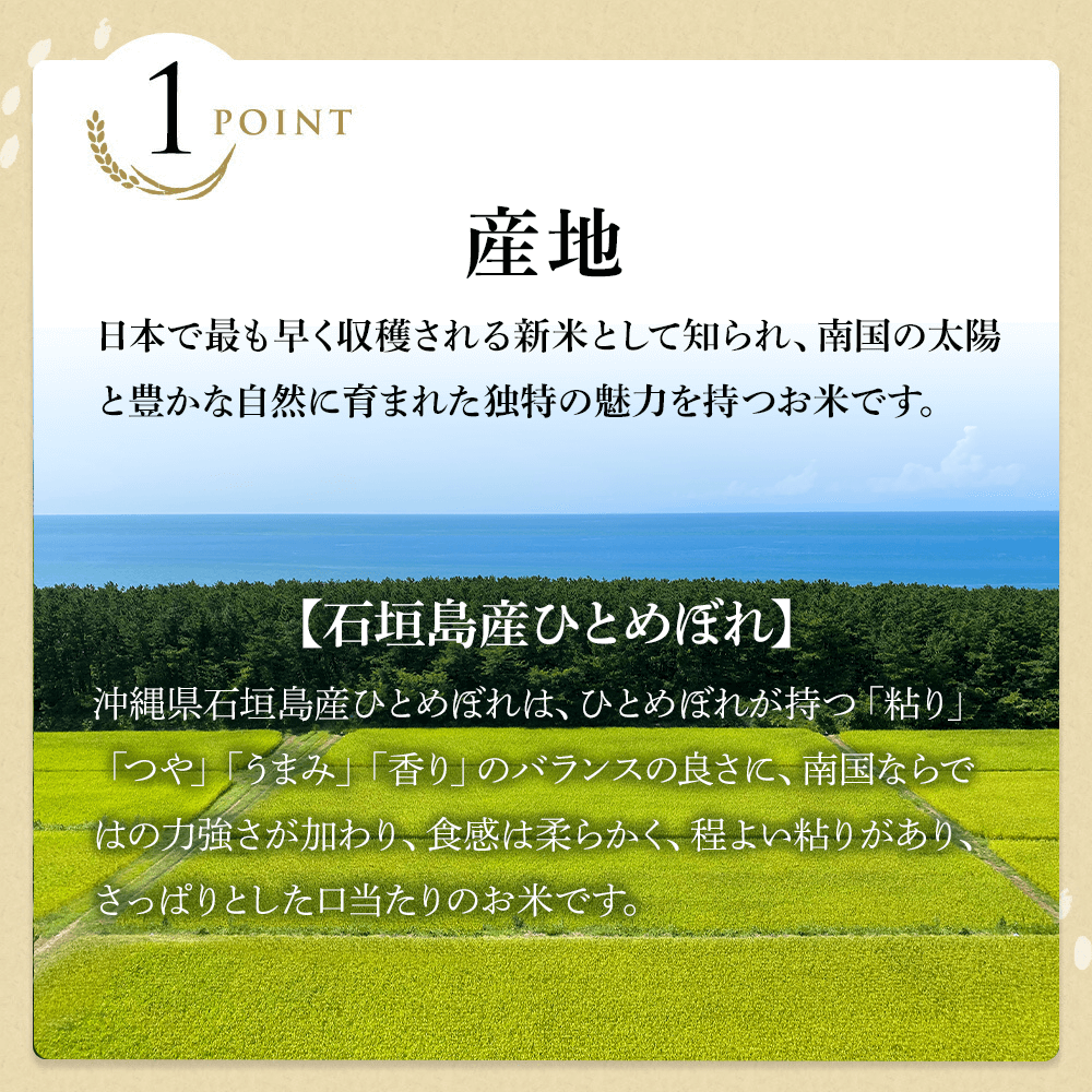 令和7年産 新米 沖縄県石垣島産 ひとめぼれ 玄米10kg 送料無料 精米可能 白米 無洗米 分づき