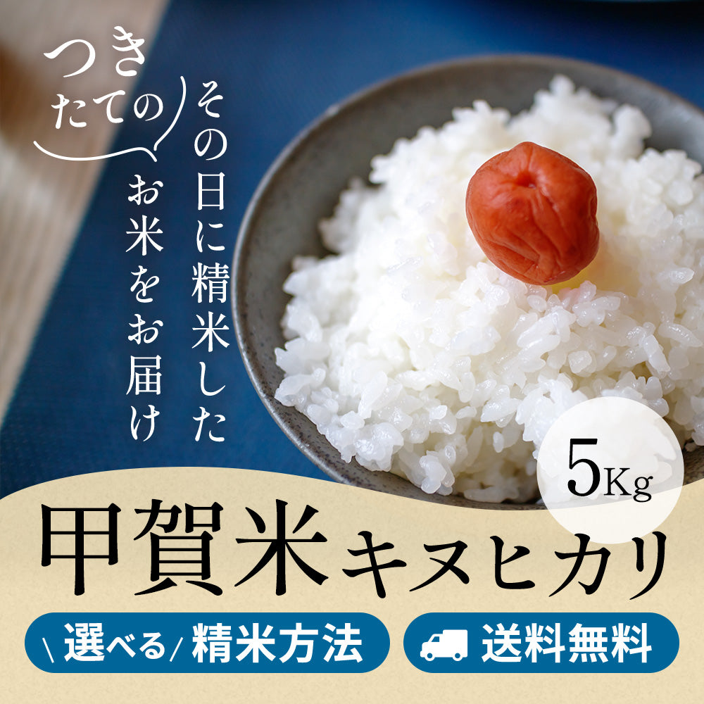 令和6年産 甲賀米キヌヒカリ 玄米5kg 選べる精米方法 送料無料