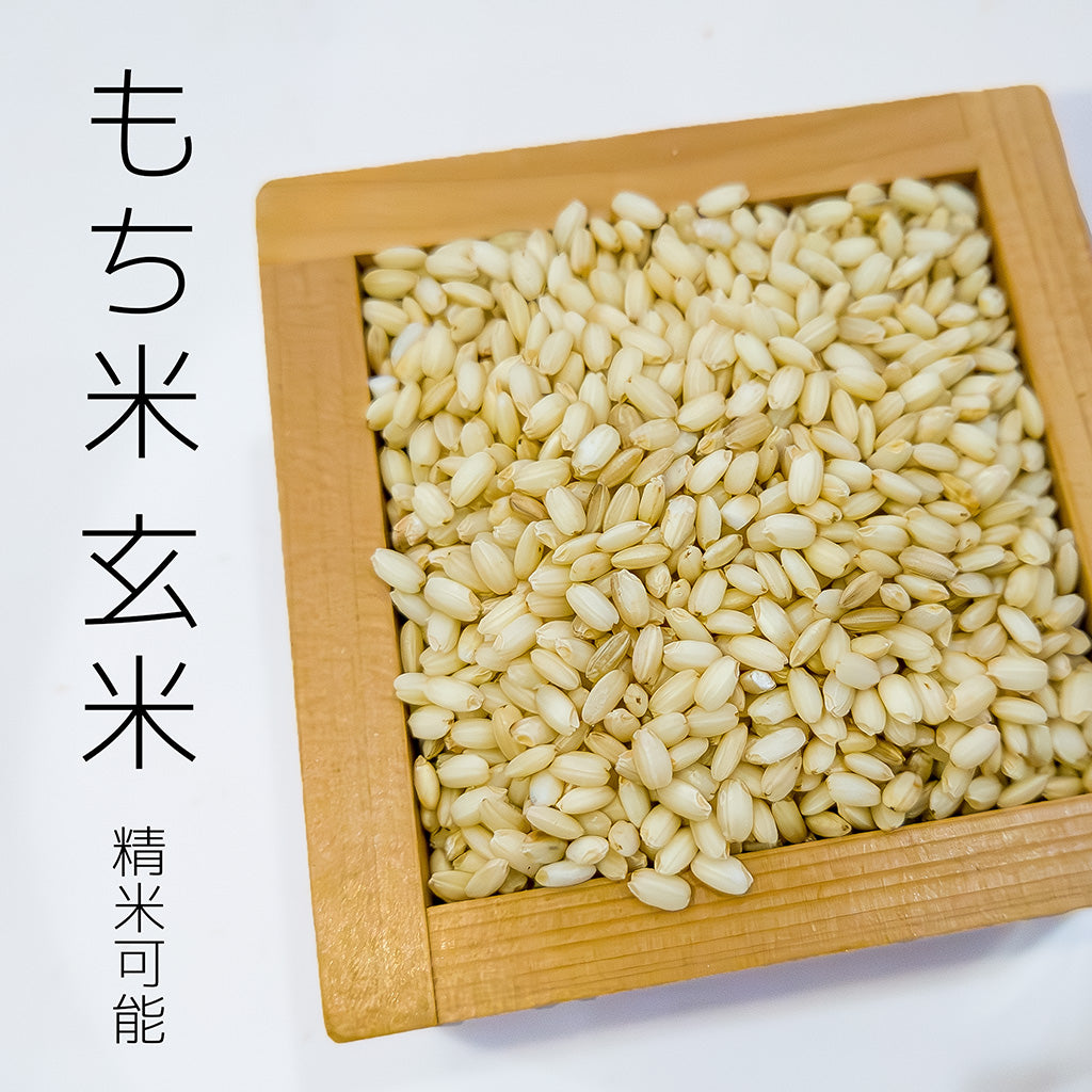 もち米 令和6年産 佐賀産ひよくもち 玄米 5kg【送料無料】 – 伊賀米処 富永米穀店【公式通販】