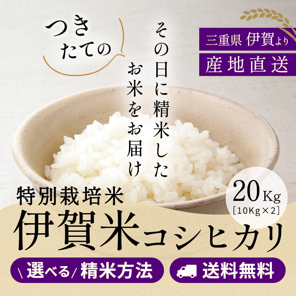 令和6年産【特別栽培米】伊賀米コシヒカリ 三重県伊賀産 玄米20kg(10kgｘ2袋) 選べる精米方法 送料無料