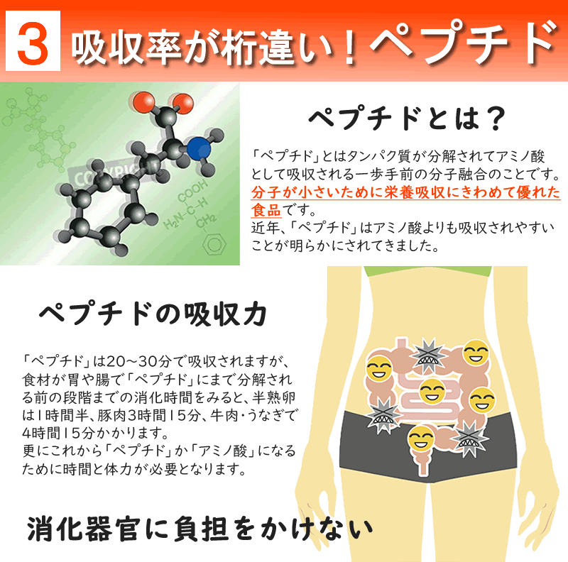 無添加 だし＆栄養スープ 500g 千年前の食品舎