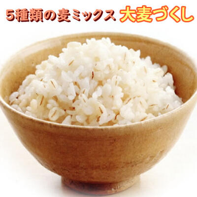 国産 大麦づくし 420g 5種類の麦ミックス