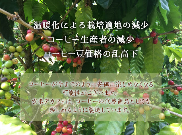 玄米デカフェ ドリップ粉末100g 結びの神