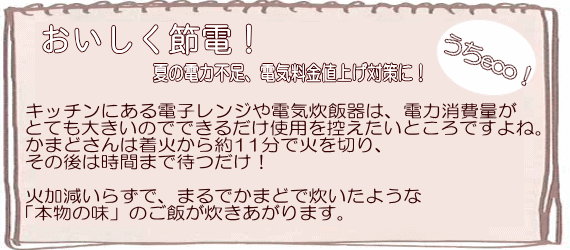 【送料無料】かまどさん 長谷園 伊賀焼・炊飯土鍋(ガス直火用)3合炊き ご飯鍋