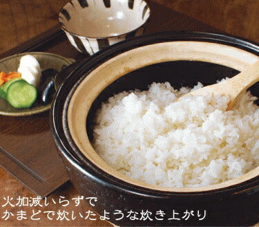 【送料無料】かまどさん 長谷園 伊賀焼・炊飯土鍋(ガス直火用)5合炊き ご飯鍋