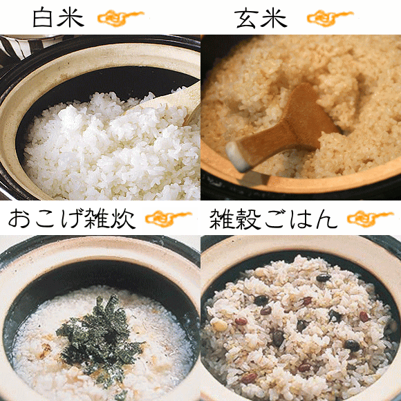 【送料無料】かまどさん 長谷園 伊賀焼・炊飯土鍋（ガス直火用）５合炊き ご飯鍋