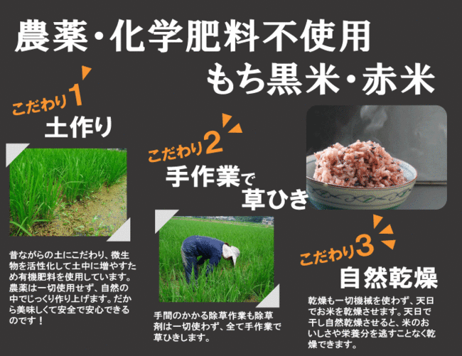国産雑穀 黒米 赤米 合計2kg 各1kg（250g×4袋・4袋）セット 農薬不使用「がんこおやじのもち黒米・赤米」