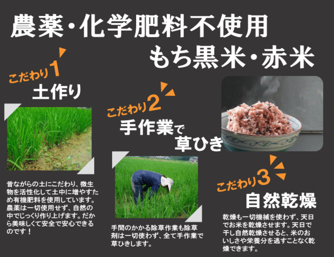 国産雑穀 黒米 赤米 合計2kg 各1kg(250g×4袋・4袋)セット 農薬不使用「がんこおやじのもち黒米・赤米」