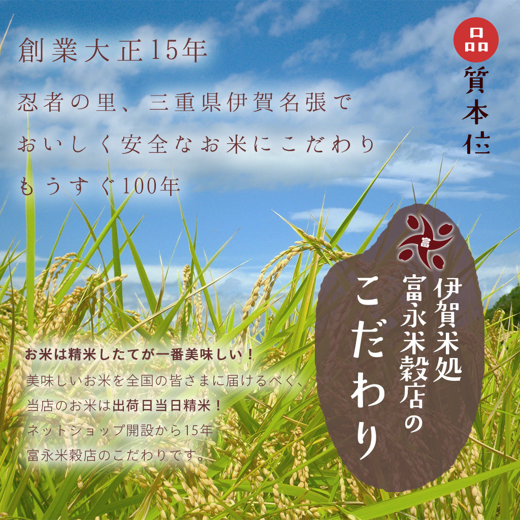 挨拶ギフト米 水引タイプ 2合（300g） のし風 お米のプレゼント【GR】