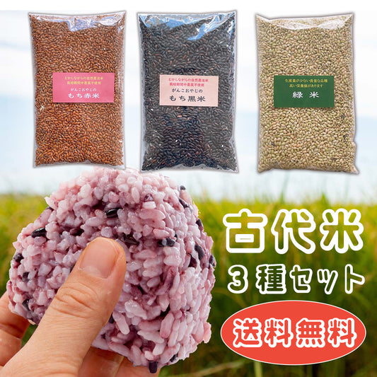 国産雑穀 黒米 赤米 緑米 3種セット