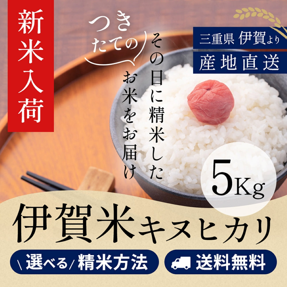 【新米】令和8年産 伊賀米キヌヒカリ 玄米5kg 選べる精米方法 送料無料