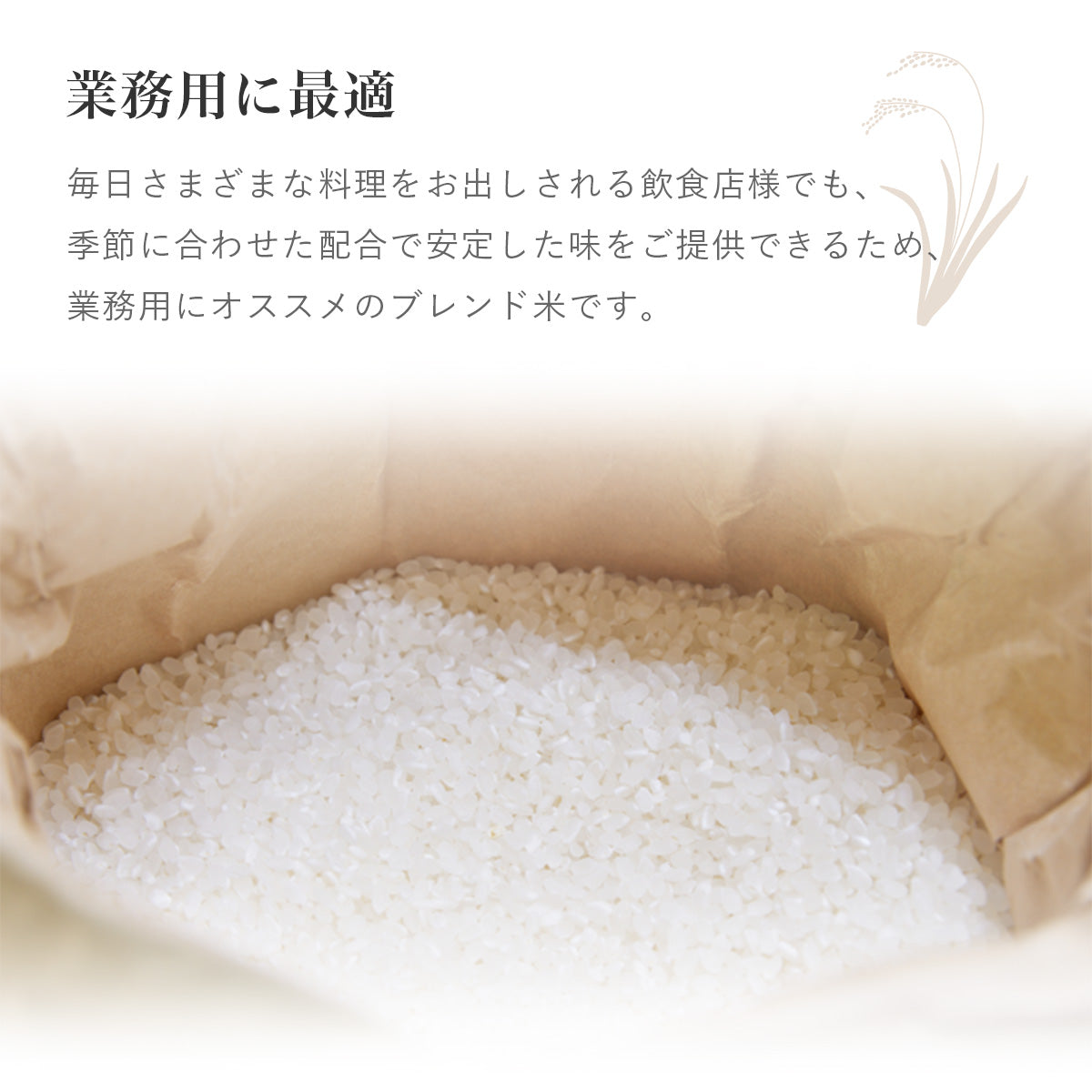 業務用】五ツ星お米マイスター・ブレンド米 20kg（10kg×2袋）【送料