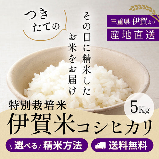 【新米】令和6年産【特別栽培米】伊賀米コシヒカリ 三重県伊賀産 玄米5kg 選べる精米方法 送料無料