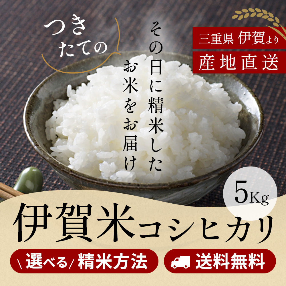 【新米】令和6年産 伊賀米コシヒカリ 玄米5kg 選べる精米方法 送料無料