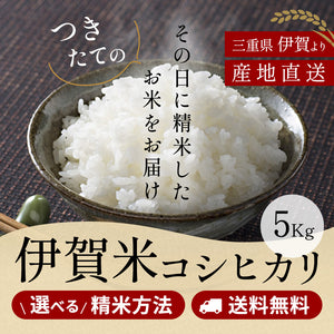 【新米】令和6年産 伊賀米コシヒカリ 玄米5kg 選べる精米方法 送料無料