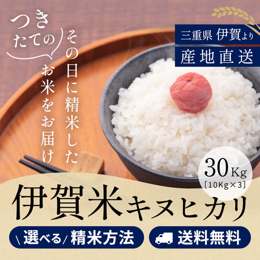 令和6年産 伊賀米キヌヒカリ 玄米30kg(10kgx3袋) 選べる精米方法 送料無料