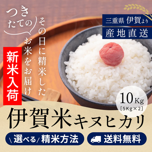 令和7年産 伊賀米キヌヒカリ 玄米10kg(10kgx1袋or5kgx2袋) 選べる精米方法 送料無料