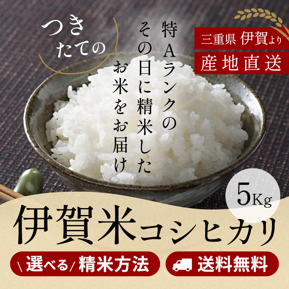 令和7年産 売りつくしセール 伊賀米コシヒカリ 玄米5kg 選べる精米方法