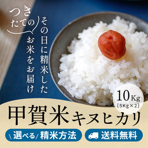 令和6年産 甲賀米キヌヒカリ 玄米10kg(10kgｘ1袋or5kgｘ2袋) 選べる精米方法 送料無料