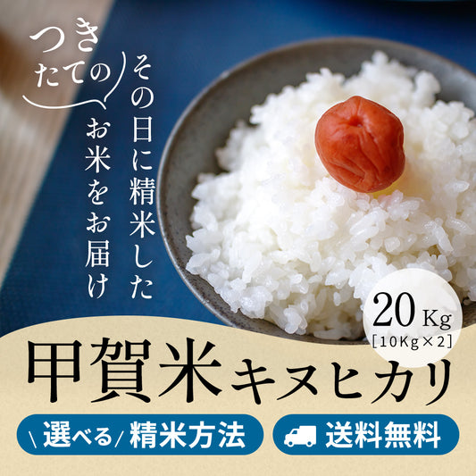 令和6年産 甲賀米キヌヒカリ 玄米20kg(10kgx2袋) 選べる精米方法 送料無料