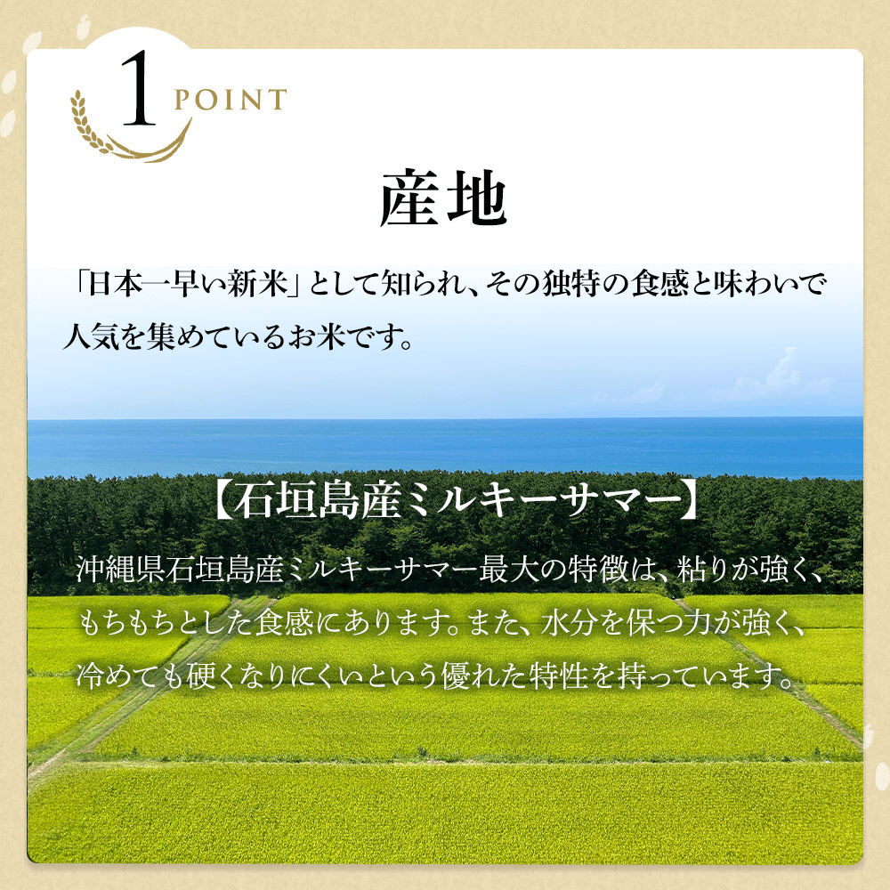 令和7年産 新米 沖縄県石垣島産 ミルキーサマー 玄米10kg  精米可能 白米 無洗米 送料無料