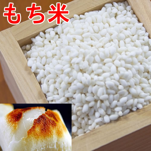 もち米 令和6年産 佐賀産ひよくもち 5kg【送料無料】